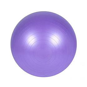 М’яч для фітнесу HMS Newt 487-626-1-V фіолетовий, 65 см, насос, Toyman