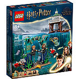 LEGO Harry Potter 76420 Турнір трьох чарівників: Чорне озеро, фото 3