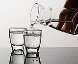 Гладка скляна чарка Gina 55мл 56119-МС24/sl, фото 6