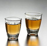 Гладка скляна чарка Gina 55мл 56119-МС24/sl, фото 7