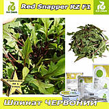 Шпинат червоний, Ред Снепер RZ F1, ТМ Rijk Zwaan (Голландія), 25 000 насінин, фото 2