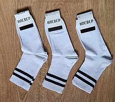 Білі високі шкарпетки "Клевер" з чорними смужками — стиль та зручність для кожного (розмір 36–41)