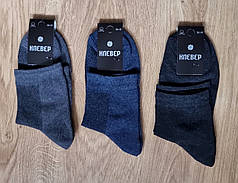 Універсальні шкарпетки "Клевер" із сіткою, середня довжина — комфорт і вентиляція щодня (розмір 36–41)