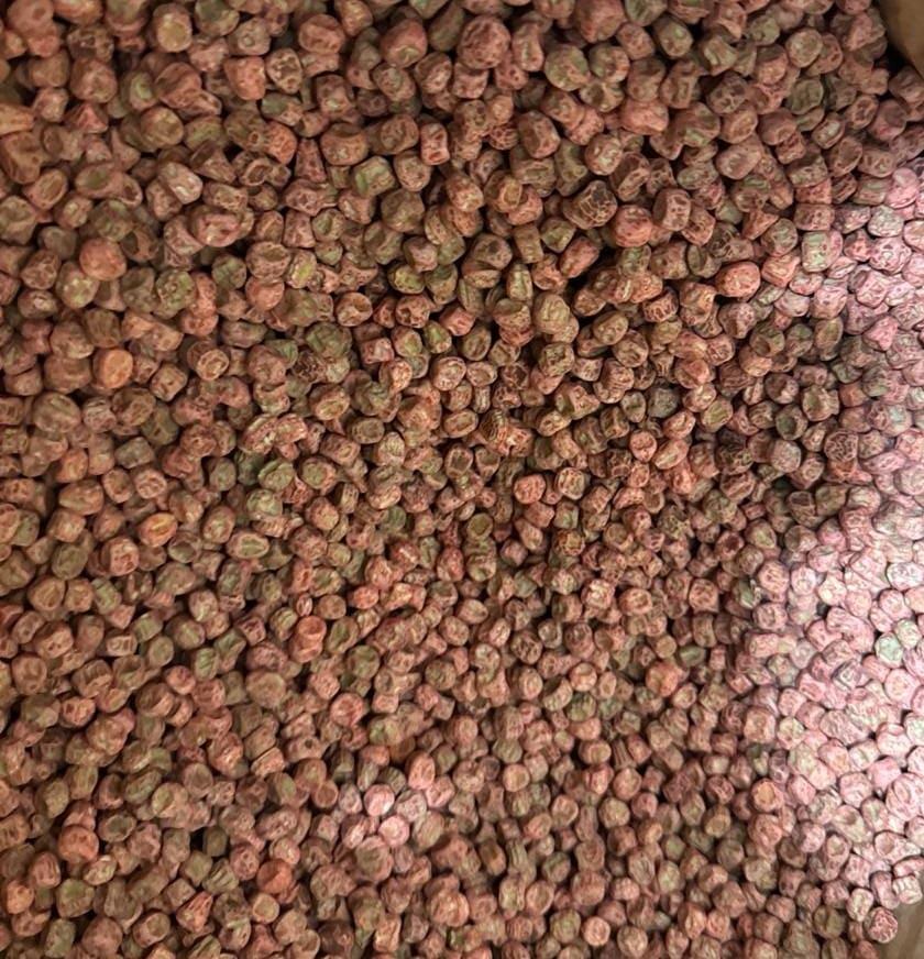 Горох Сомервуд (Somerwood) Syngenta — 1 кг