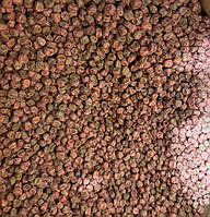 Горох Джоф (Jof) Syngenta — 1 кг