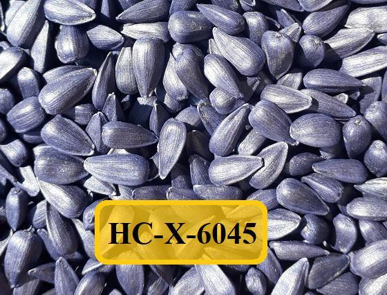 Насіння соняшника НС Х 6045, під Євролайтинг, 111-114 днів, урожай - 2024, Екстра Плюс, фото 1