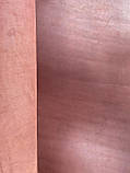Натуральна шкіра Чепрак для взуття, ременів, сумок, меблів, підошви, товщина 2,5-3,0 мм. Бордово-коричневого кольору, фото 3