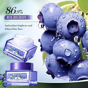Зволожуючий крем для обличчя з чорницею Sadoer Blueberry Moist Antioxidation Cream, 60г., фото 2