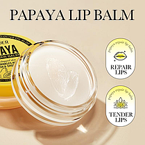 Бальзам для губ з папаєю Sadoer, 6 г., фото 3