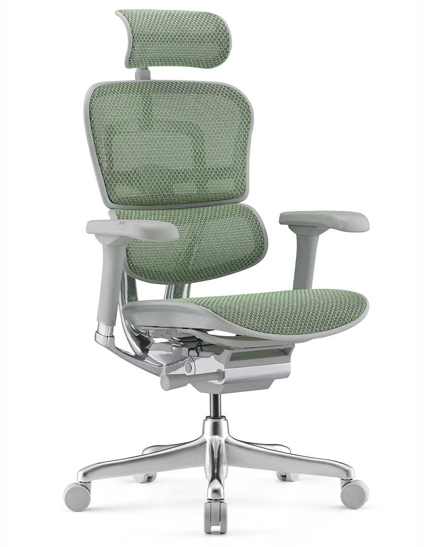 Крісло комп'ютерне Enrandnepr ERGOHUMAN ELITE 2 G T-168-B6 Green Зелена