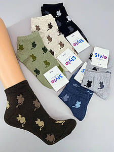 Шкарпетки універсальні "Котіки" 12 пар/уп 36-40