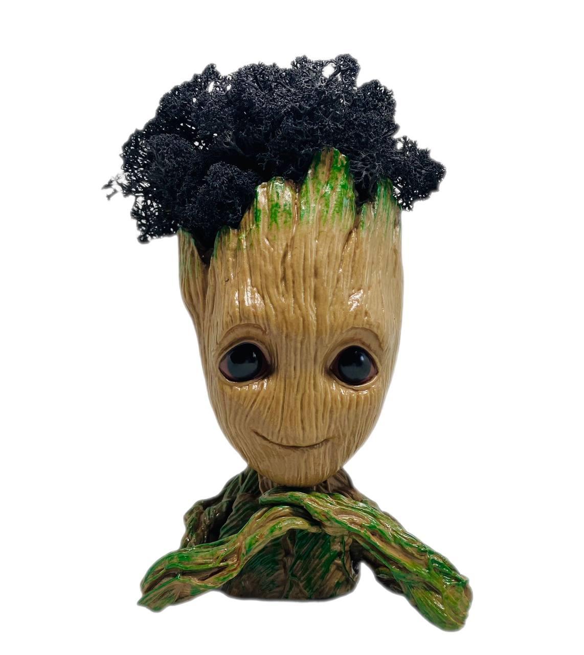 Кашпо з чорним стабілізованим мохом Грут G3