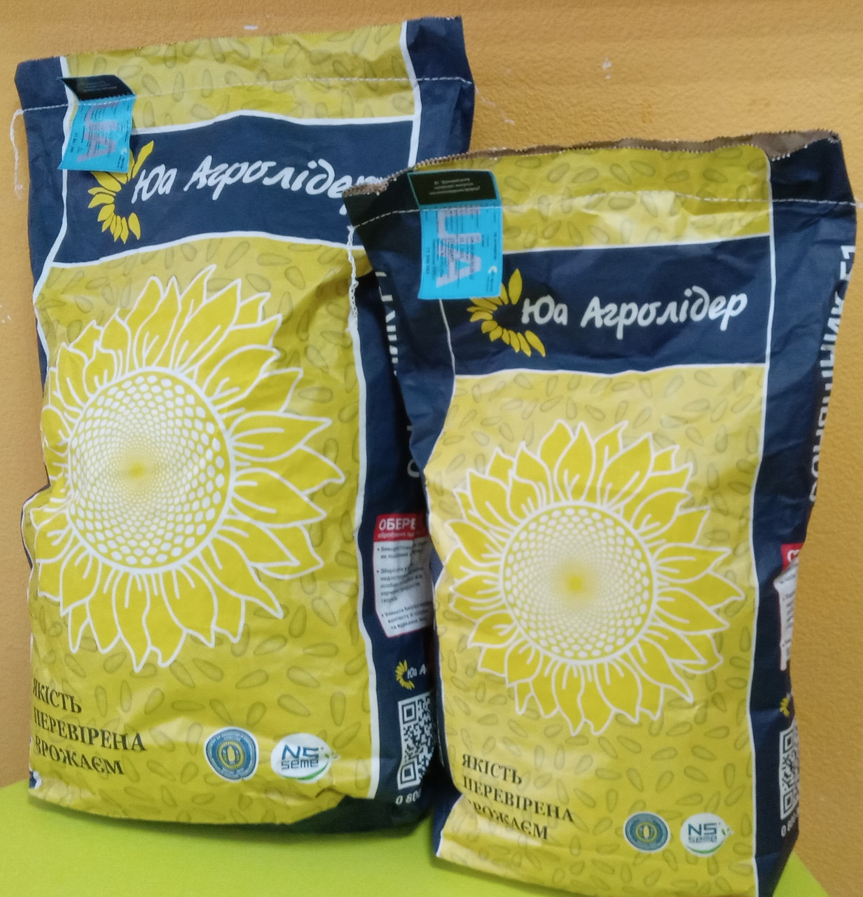 Насіння соняшника, під Євролайтинг, НС Імісан, 110-112 днів, Стандарт, фото 1