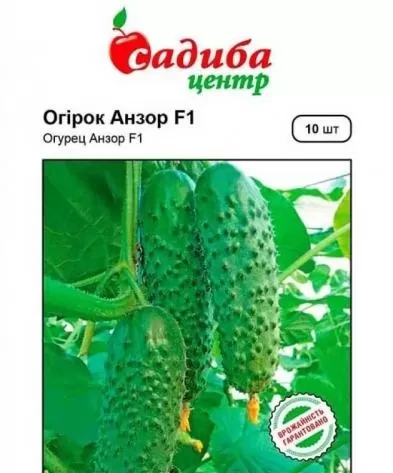 НАСІННЯ ОГІРКІВ АНЗОР F1, САДИБА ЦЕНТР, фото 1