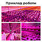 Фітострічка для розсади світлодіодна стрічка для рослин фітолампа повного спектра USB лампа для теплиці 5 м, фото 6
