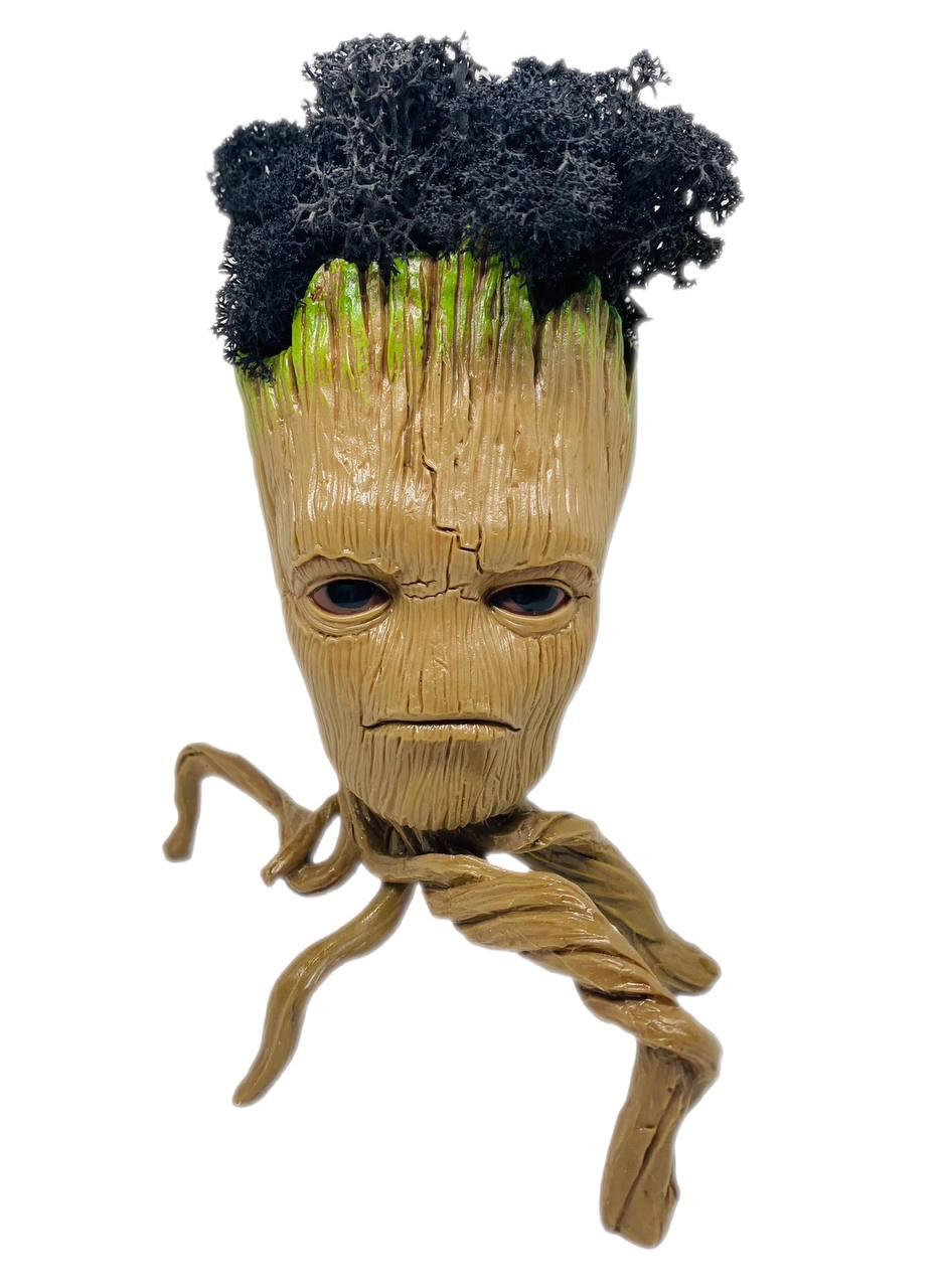 Кашпо з чорним стабілізованим мохом Грут-павук