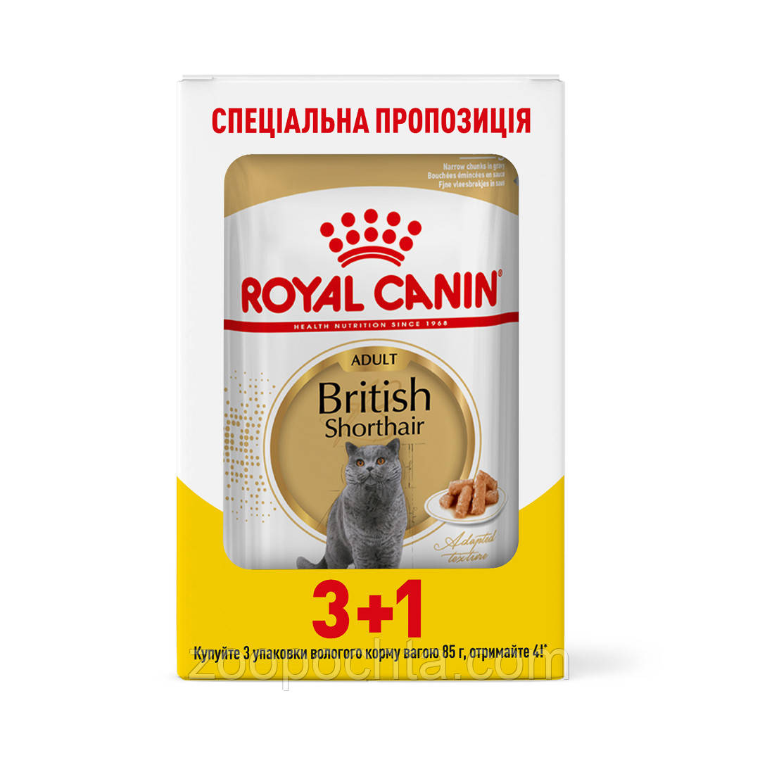 Акція! Вологий корм Royal Canin British Shorthair Adult (Бритіш Шортхеа) для британських кішок 85гр 3+1 шт