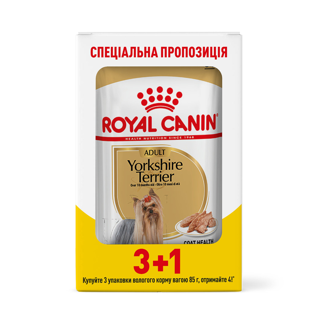 Акція! Royal Canin Yorkshire Terrier Adult (Роял Канін Йоркшир Тер'єр) вологий корм для собак, 85гр 3+1шт.