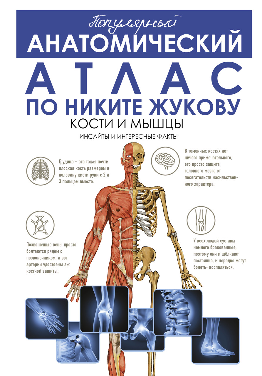 Популярний анатомічний атлас по Нікіті Жукову: кістки та м'язи. Інсайти та цікаві факти. Жуків Нікіта