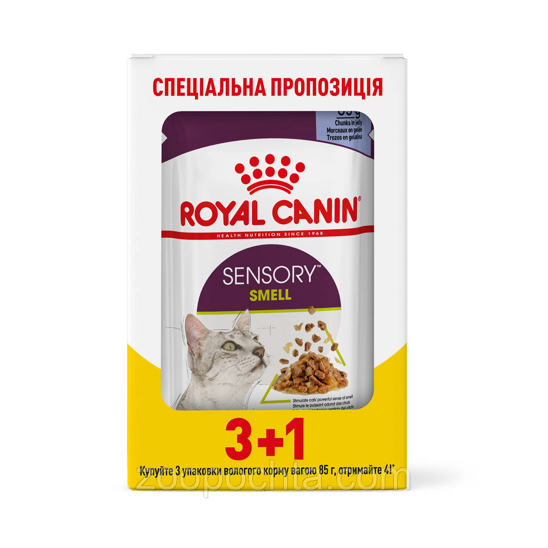 Акція! Вологий корм Royal Canin Sensory Smell для котів стимуляція нюхових рецепторів, в желе 85гр 3+1 ШТ, фото 1