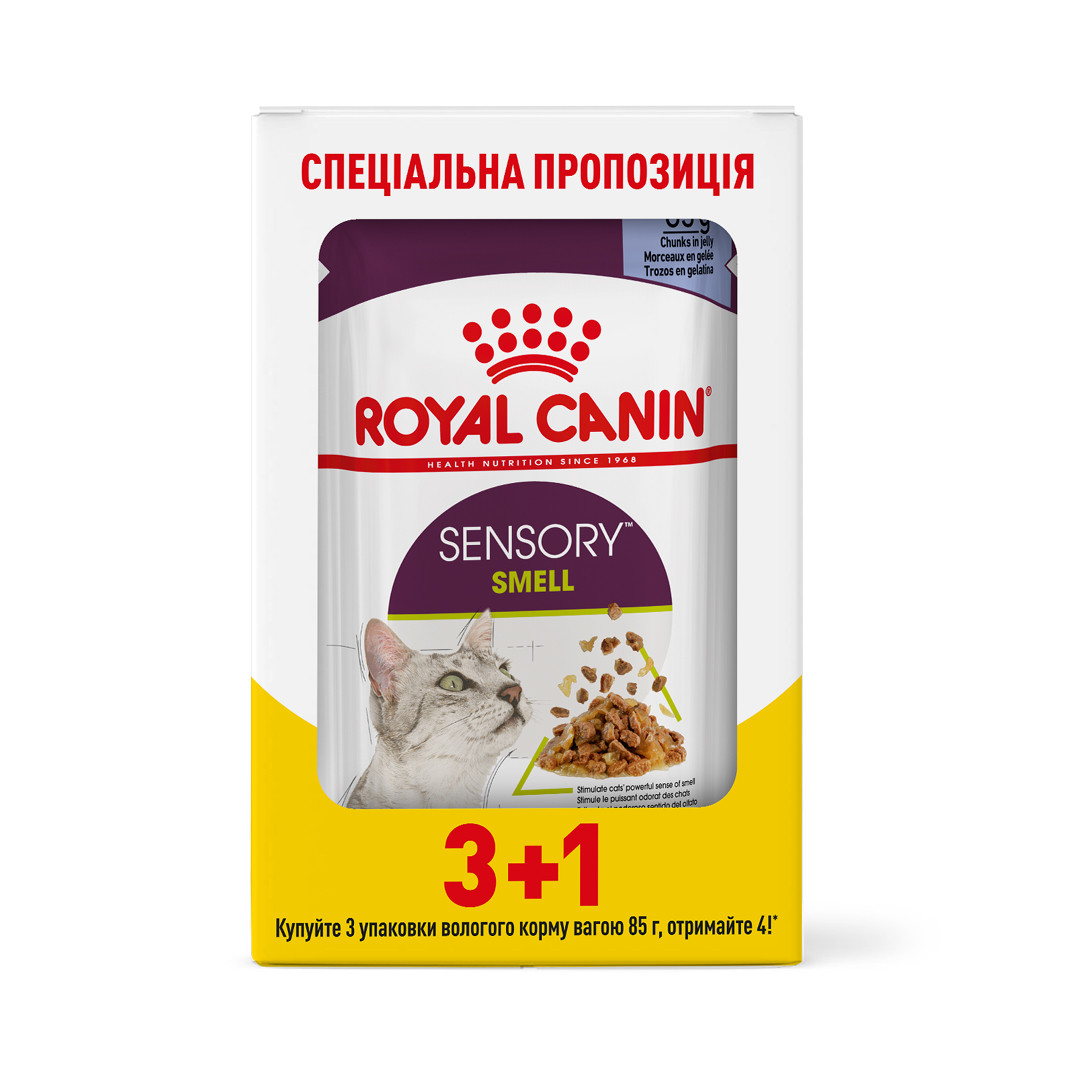 Акція! Royal Canin Sensory Smell вологий корм для кішки стимулює нюхові рецептори, в желе 85 гр 3+1 шт