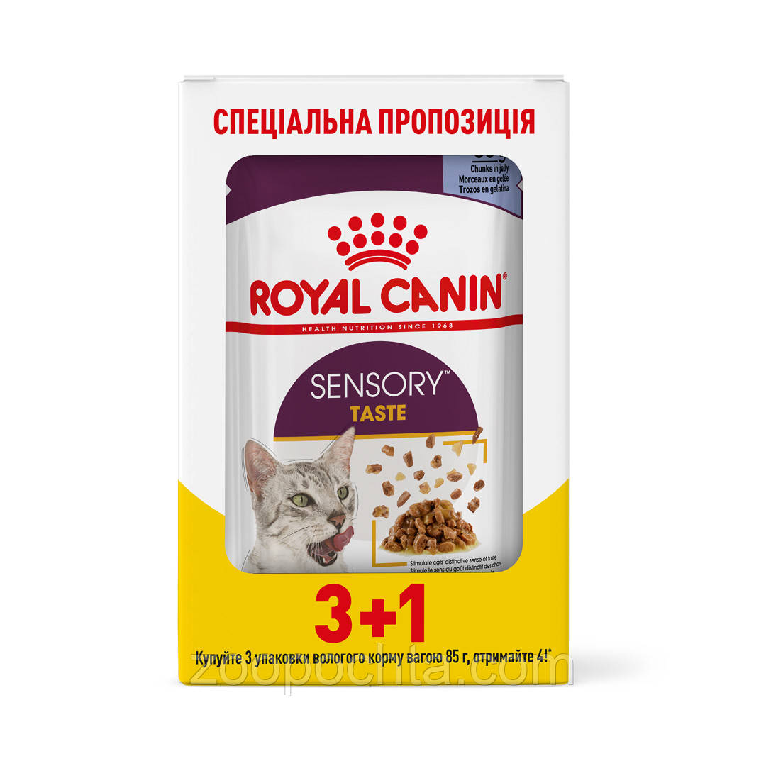 Акція! Вологий корм Royal Canin Sensory Taste для котів вибагливих до смаку, в желе 85гр 3+1 шт