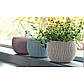 Набір кашпо із пластику Cozies Trio настільні різнокольорові для квітів, фото 2