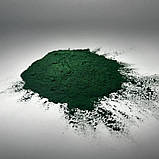 Спіруліна Порошок 100 г, фото 5