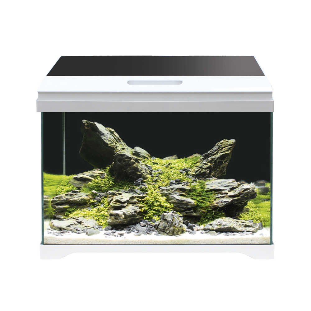 Акваріум, три кольори в кришці, 50 LED, 40л, 50,5х25,5х40см, 5мм, LED 11Вт, AMTRA MODERN TANK, фото 1