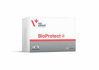 VetExpert BioProtect Харчова добавка для кішок та собак з порушеною шлунково-кишковою мікрофлорою 60к
