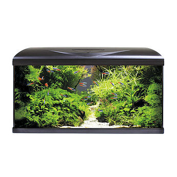 Акваріум з фільтром, помпа 520л/ч, нагр-ч 100Вт, LED 3 кольори AMTRA SYSTEM 80 LED BLACK 85л