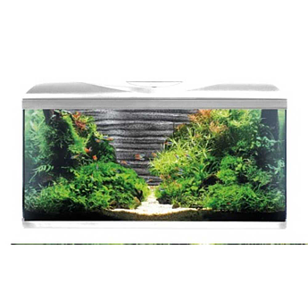 Акваріум з фільтром, помпа 520л/г, нагр-ч 100Вт, LED, фон каміння AMTRA SYSTEM 80 LED WHITE 85л