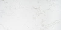 Плитка для підлоги та стін Атем Praia Carrara Polished PK 600*1200