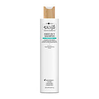 Шампунь розгладжуючий для волосся Hair Company Anti Frizz Shampoo 250 мл