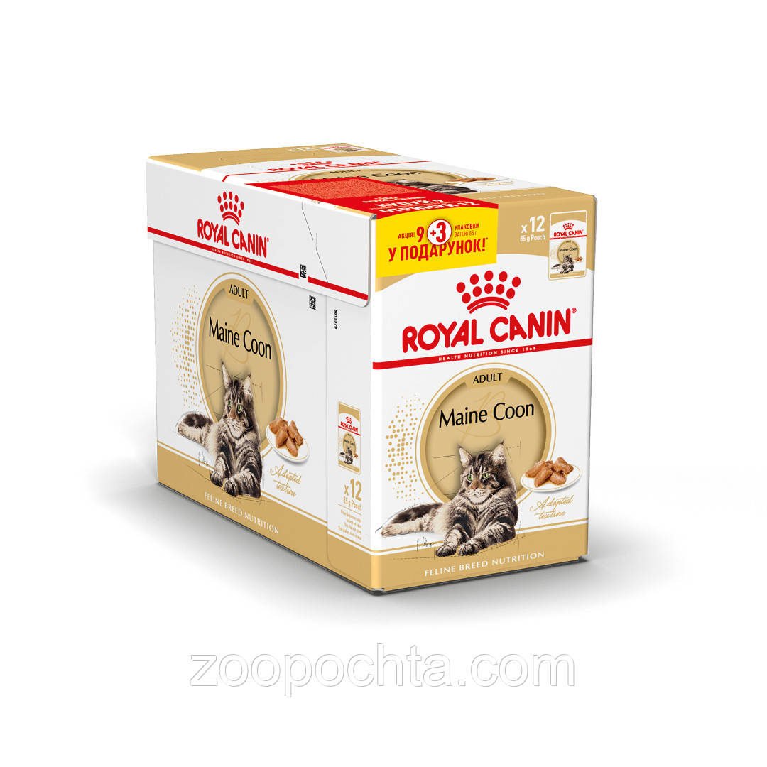 АКЦІЯ! Вологий корм Royal Canin Maine Coon Adult (Роял Канін Мейн Кун) для кішок 85 гр 9+3 шт.