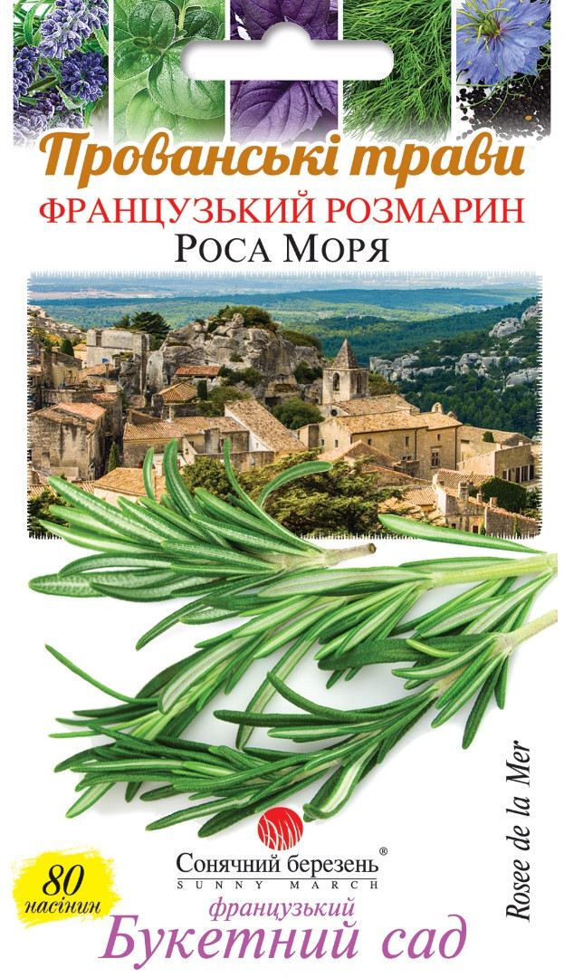 Розмарін Роса Моря 80 шт Сонячний березень