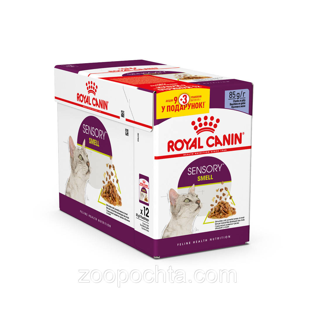 Акція! Вологий корм Royal Canin Sensory Smell для котів стимуляція нюхових рецепторів, в желе 85гр 9+3 ШТ, фото 1