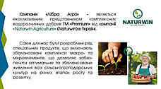 Добриво комплексне водорозчинне Naturwin 21-21-21 +МE (2 кг), фото 4