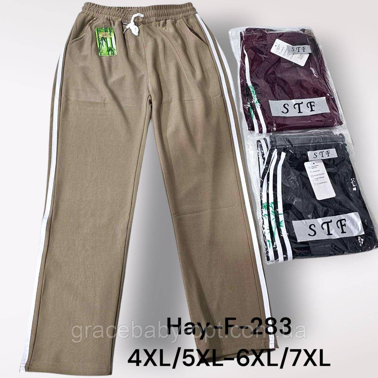 Спортивні штани жіночі оптом, 4XL/5XL-6XL/7XL pp, № Hay-F-283, фото 1