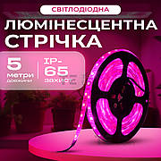 Фітострічка для розсади світлодіодна стрічка для рослин фітолампа повного спектра USB лампа для теплиці 5 м