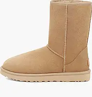 Urbanshop com ua Чоботи жіночі UGG Classic Short Ii Boots Beige 1016223-MDSD РОЗМІРИ ЗАПИТУЙТЕ
