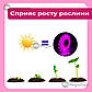 Фітострічка для розсади світлодіодна стрічка для рослин фітолампа повного спектра USB лампа для теплиці 5 м, фото 5