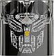 Навушники TWS Transformers TF-T08 Black, фото 2