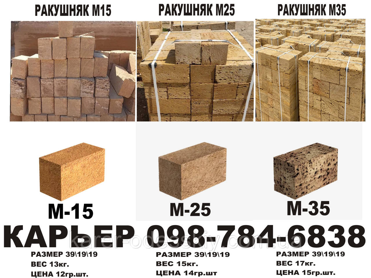 РАКУШНЯК В УКРАЇНІ — НИЗЬКІ ЦІНИ, КУПИТИ У ВИРОБНИКА, фото 1