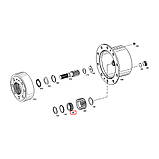 0735.455.281, ZGAQ-07558, 7019645, 11705030 Підшипник 36x54,3x22 роликовий сателіт мосту ZF, фото 2