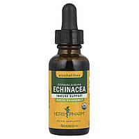 Herb Pharm, Ехінацея, без спирту, 30 мл (1 рідк. Унція) Дніпр Дніпро
