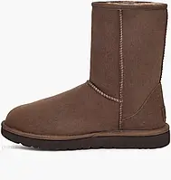 Urbanshop com ua Чоботи жіночі UGG Classic Short Ii Brown 1016223-BCDR РОЗМІРИ ЗАПИТУЙТЕ