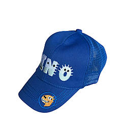 Кепка бейсболка дитяча 46-50 розмір сітка літня дитячі головні убори синій (БД662)