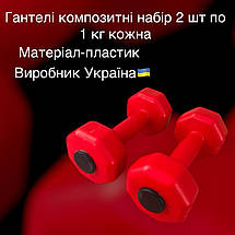 Набір для фітнесу 4 в 1, NEWDAY FIT SET, килимок для йоги, гантелі по 1 кг, обважнювачі по 1кг, еспандер, фото 4