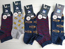 Чоловічі короткі шкарпетки Wola cotton W91 N01